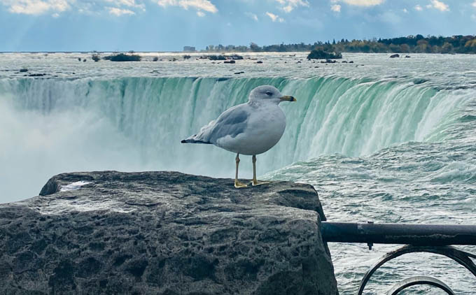 cost to see Niagara Falls