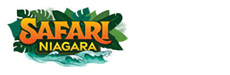 Safari Niagara logo